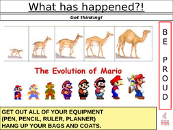 what is an example of theory of evolution