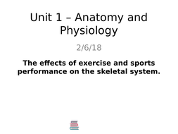 sports anatomy and physiology