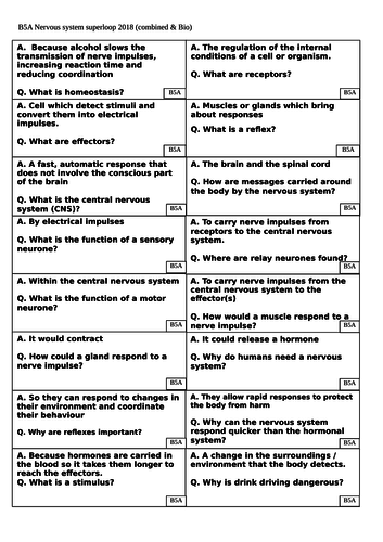 Revision card sorts for AQA 9-1 GCSE Biology / Combined – B5 - The nervous system