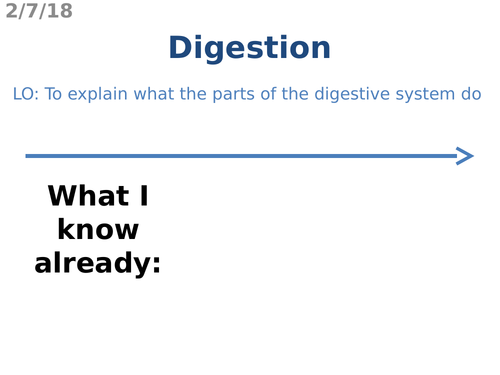 Digestion