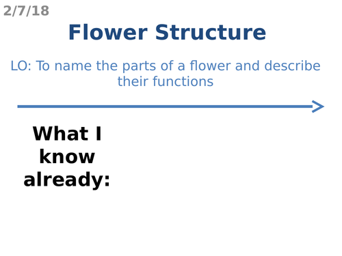 Flower Structure