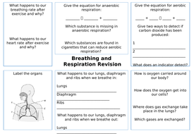 Breathing and Respiration Revision Sheet | Teaching Resources