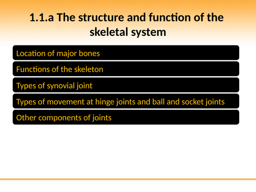 OCR GCSE PE: PowerPoint 1.1.a Skeletal System