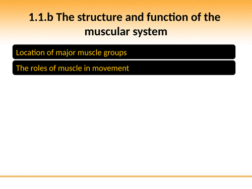 OCR GCSE PE: PowerPoint 1.1.b Muscular System