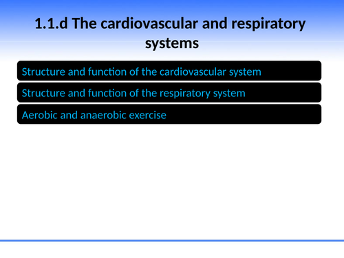 OCR GCSE PE: PowerPoint 1.1.d Cardiovascular & Respiratory System