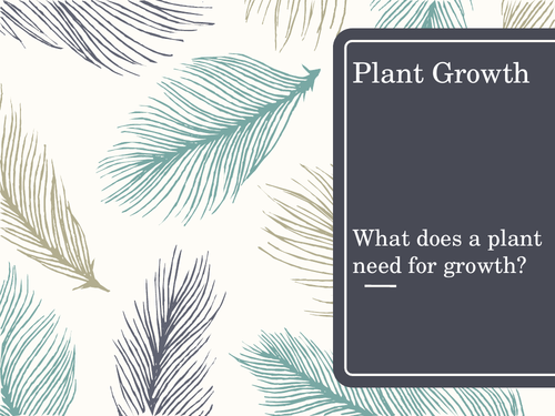 Plant Growth - selecting information and developing an explanation