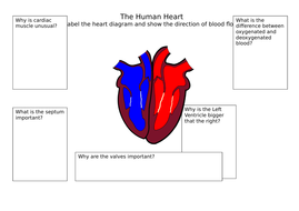 GCSE Biology Heart dissection | Teaching Resources