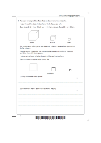 Surface Area to Volume Ratio in Organisms | Teaching Resources