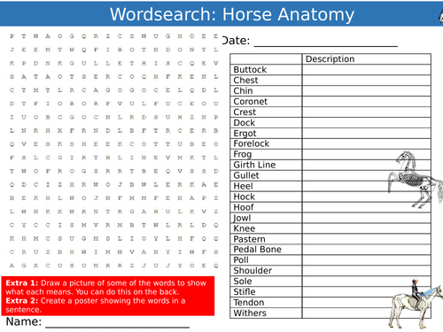 Horse Anatomy Wordsearch Puzzle Sheet Keywords Settler Starter Cover ...
