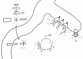 Respiration overview worksheet for A level | Teaching Resources