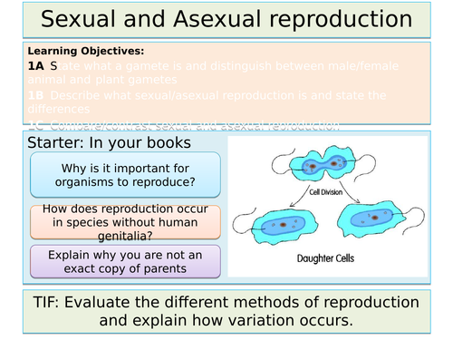 Sexual And Asexual Reproduction Teaching Resources 