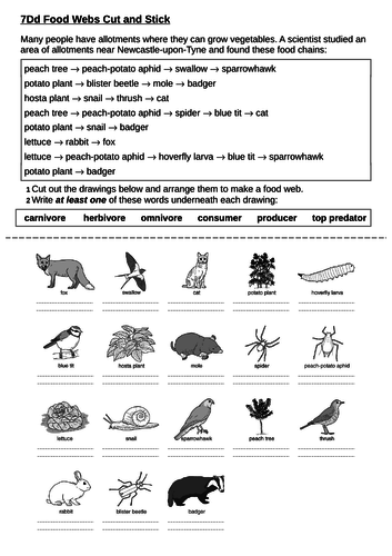 7Dd Food Webs cut and stick task