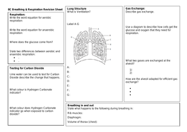 exploring science 8c breathing and respiration revision sheet 2018