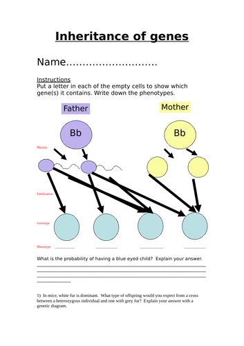 docx, 36.47 KB