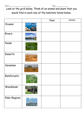 different habitats worksheets