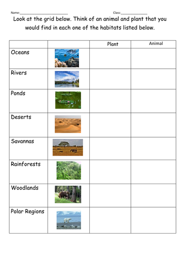 Habitats: presentation and worksheet | Teaching Resources