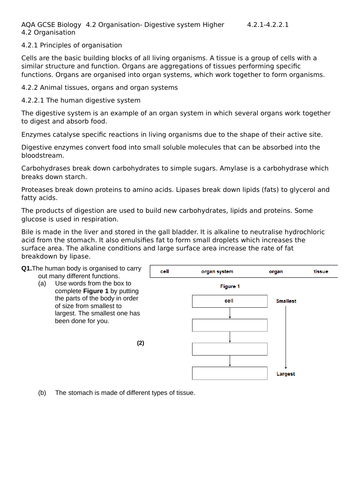 AQA GCSE Combined Trilogy/Biology Organisation 4.2 Revision | Teaching ...
