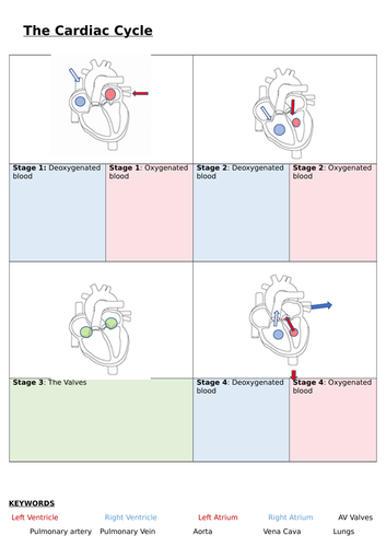 AQA GCSE PE (9-1) EXAM TECHNIQUE - learning mats / storyboards for structuring long answer responses