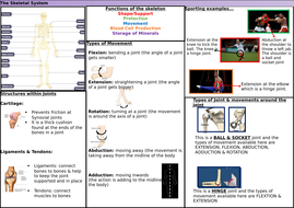 Gcse P E Skeletal System Knowledge Organiser Teaching Resources
