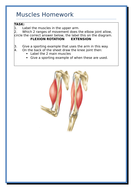 Printable muscle labeling worksheet image
