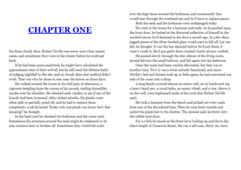 AQA Language Paper 1: I am Legend | Teaching Resources