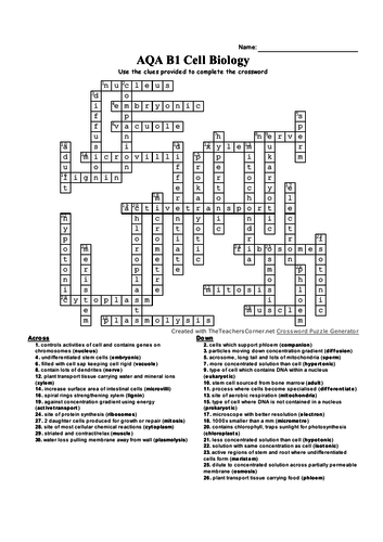 AQA B1 Cell Biology Crossword | Teaching Resources