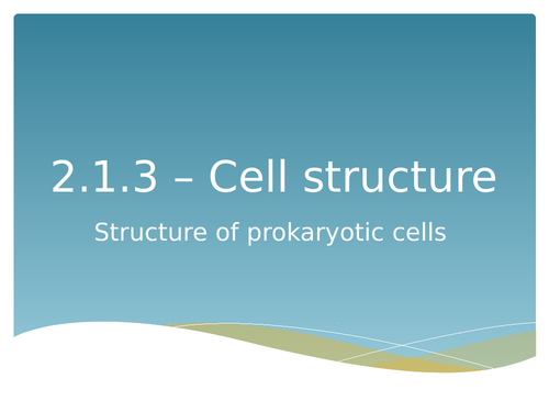 Prokaryotic cells AS level