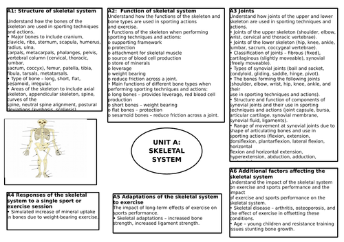 BTEC L3 Unit 1: Anatomy & Physiology Revision Display Sheets