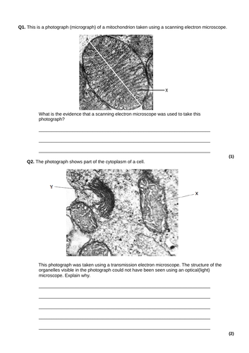 docx, 429.59 KB