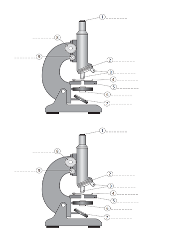 Comparison of microscopes AS level