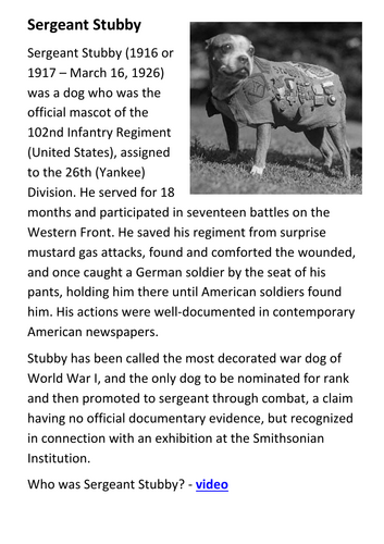 Sergeant Stubby Handout