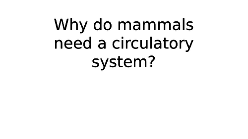 Circulatory system of a mammal | Teaching Resources