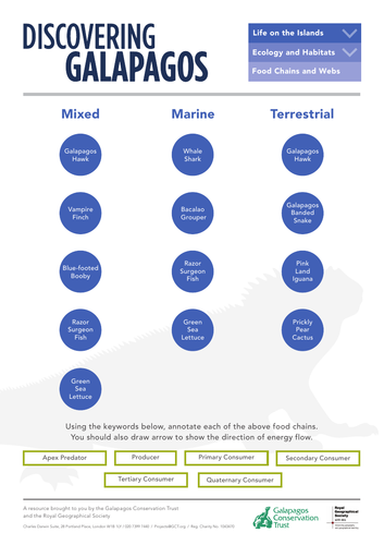 Food chains and webs (Galapagos Study) Biology Diagrams