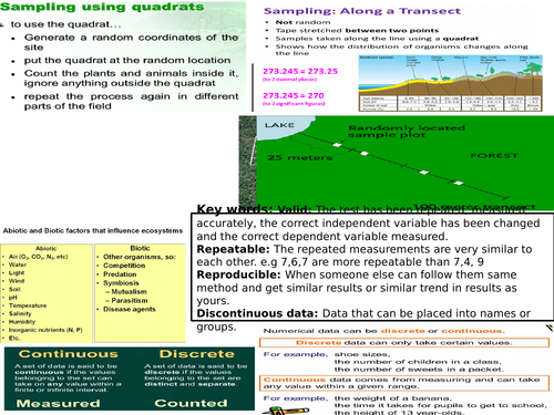 AQA GCSE 9-1 Biology Environment and adaptations revision Mat