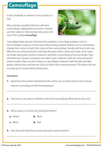 ks2 reading comprehension camouflage teaching resources