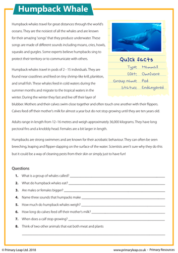 year-5-english-worksheets-pdf-thekidsworksheet-year-5-english