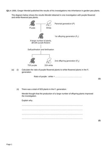 docx, 123.1 KB