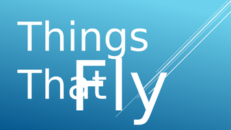 fly things resources