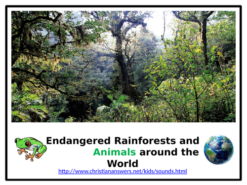 Endangered Rainforests and Animals - Unit of Work
