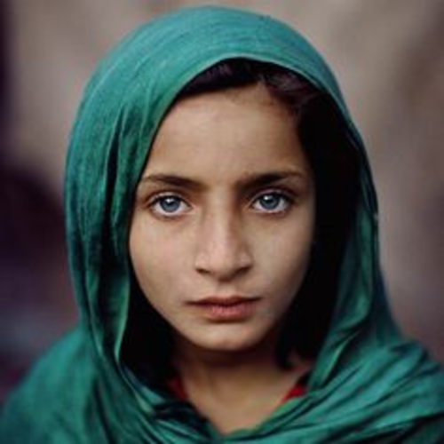 Year 5/6 English Oranges in No Man's Land Unit Teaching Resources