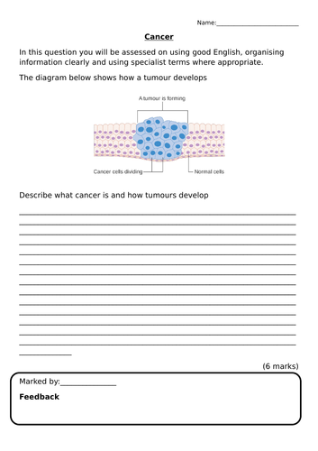 docx, 130.57 KB