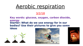 KS3 resources on aerobic and anaerobic respiration | Teaching Resources