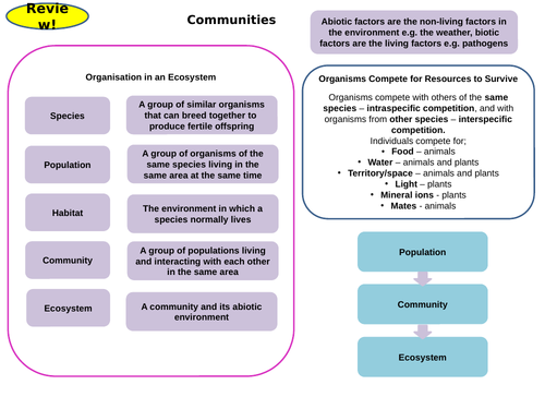 Ecology Topic 7 Part 1 Active Revision Card Activities for New AQA Biology GCSE