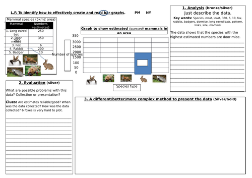 bar graph creation lesson