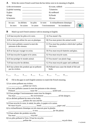 Global Issues Revision Worksheet / Worksheets French