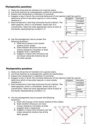 docx, 444.82 KB