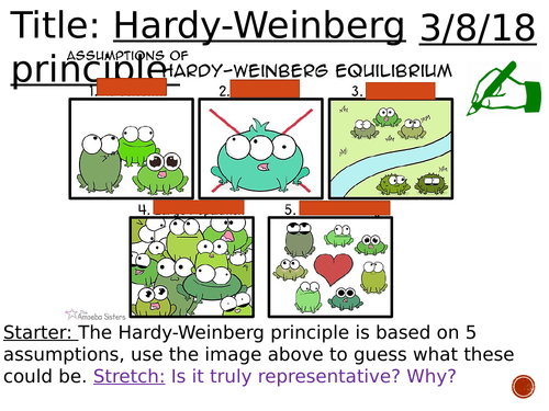 Hardy Weinberg principle - complete lesson (A2) | Teaching Resources