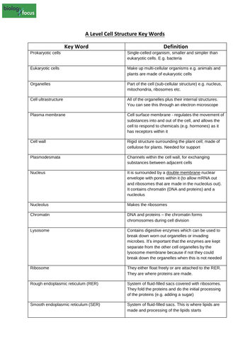 A Level Cell Structure Key Words | Teaching Resources