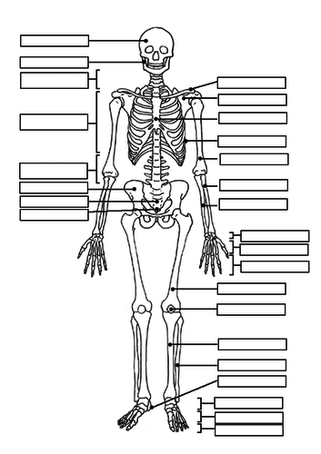 docx, 181.38 KB