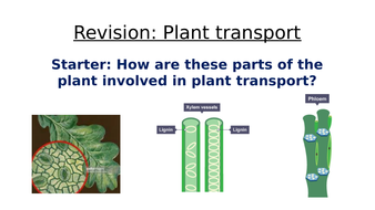 Plant transport revision AQA 9-1 GCSE | Teaching Resources